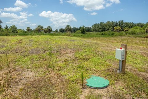 Land in Punta Gorda, Florida № 2385973 - photo 17