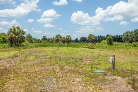 Land in Punta Gorda, Florida № 2385973 - photo 5