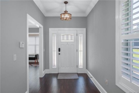Villa ou maison à vendre à Inverness, Floride: 4 chambres, 328.13 m2 № 2420442 - photo 8