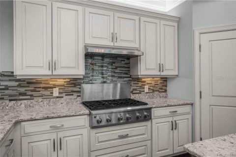 Villa ou maison à vendre à Inverness, Floride: 4 chambres, 328.13 m2 № 2420442 - photo 13