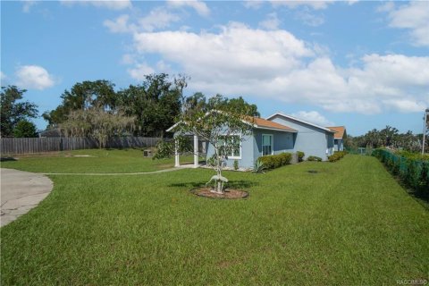 Villa ou maison à vendre à Inverness, Floride: 4 chambres, 328.13 m2 № 2420442 - photo 5