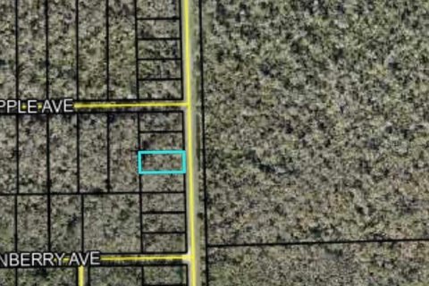 Land in Bunnell, Florida № 2159044 - photo 4