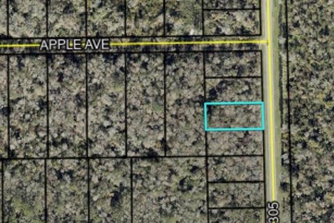 Land in Bunnell, Florida № 2159044 - photo 3