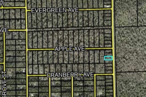 Land in Bunnell, Florida № 2159044 - photo 2