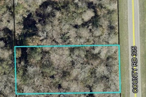 Land in Bunnell, Florida № 2159044 - photo 5