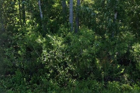Land in Bunnell, Florida № 2159044