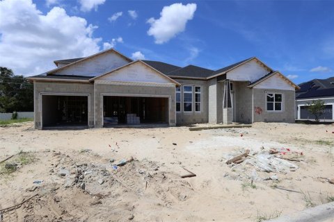 Villa ou maison à Apopka, Floride 5 chambres, 427.16 m2 № 2405372