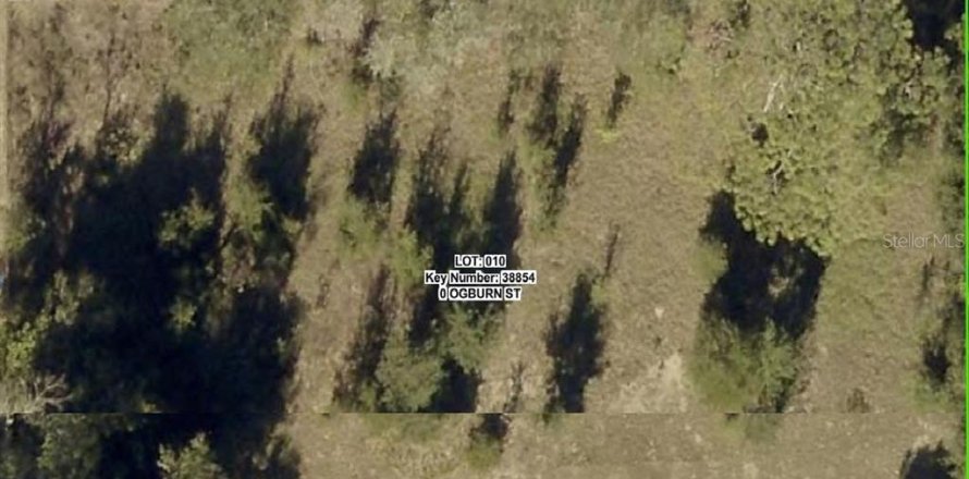 Land in Brooksville, Florida № 2151127