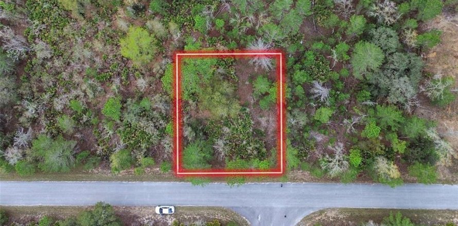 Land in Ocklawaha, Florida № 2160457