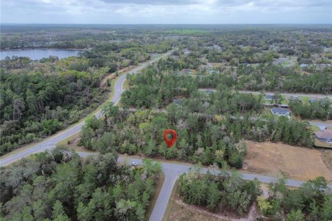 Land in Ocklawaha, Florida № 2160457 - photo 3