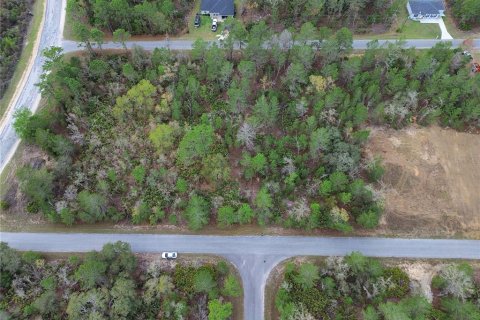 Land in Ocklawaha, Florida № 2160457 - photo 2