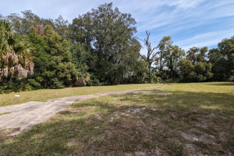 Land in Jacksonville, Florida № 801884 - photo 1