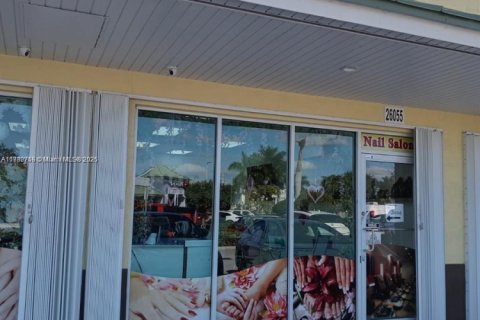 Commercial property in Homestead, Florida № 1859625 - photo 4