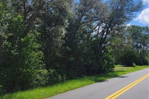 Land in Dunnellon, Florida № 2161652 - photo 3