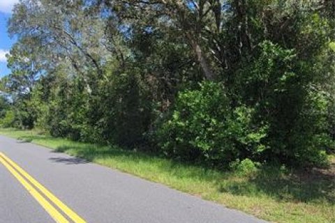 Land in Dunnellon, Florida № 2161652 - photo 2
