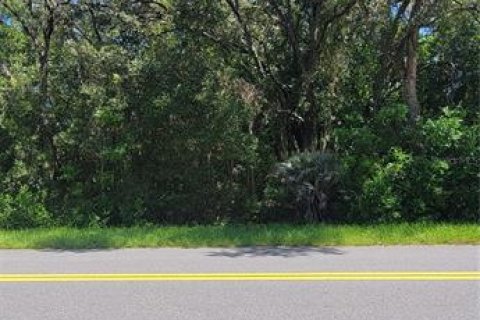 Land in Dunnellon, Florida № 2161652