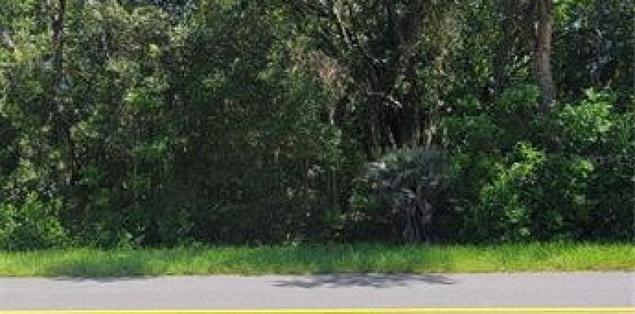 Land in Dunnellon, Florida № 2161652