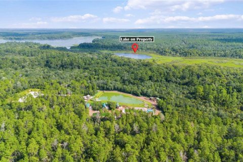 Commercial property in Silver Springs Shores, Florida 246.47 sq.m. № 1333888 - photo 2