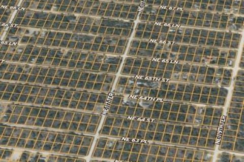 Land in Williston, Florida № 2165413 - photo 4