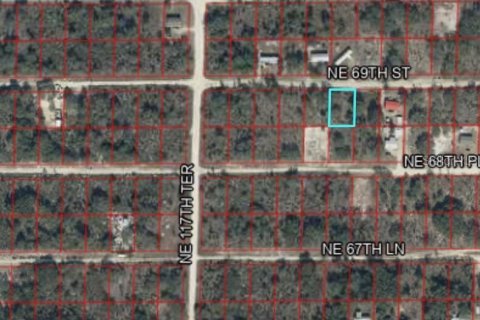 Land in Williston, Florida № 2165413 - photo 6
