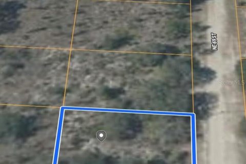 Land in Williston, Florida № 2165413 - photo 3