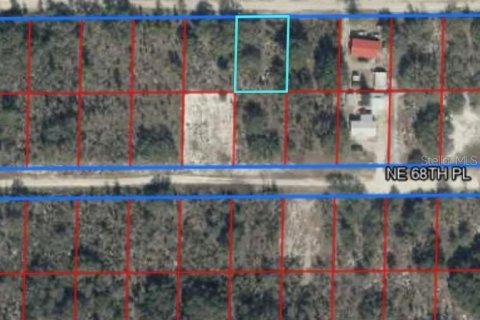 Land in Williston, Florida № 2165413 - photo 2
