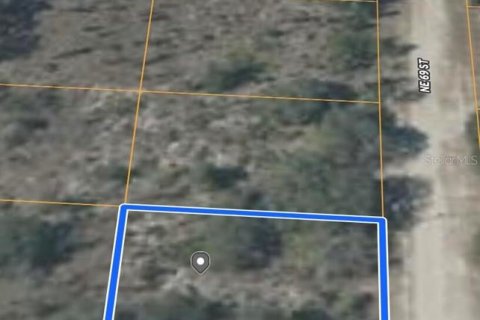 Land in Williston, Florida № 2165413