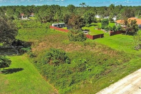 Land in Lehigh Acres, Florida № 2164304 - photo 4