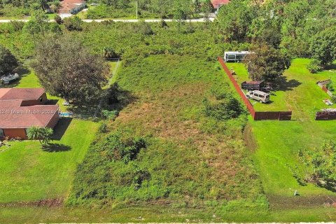 Land in Lehigh Acres, Florida № 2164304 - photo 5