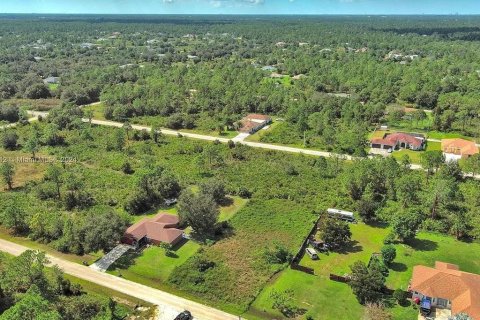 Land in Lehigh Acres, Florida № 2164304 - photo 7