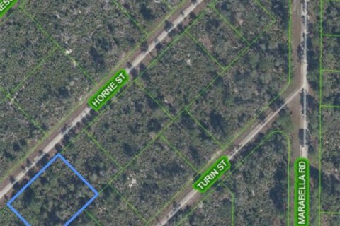 Land in Lake Placid, Florida № 2379421 - photo 3