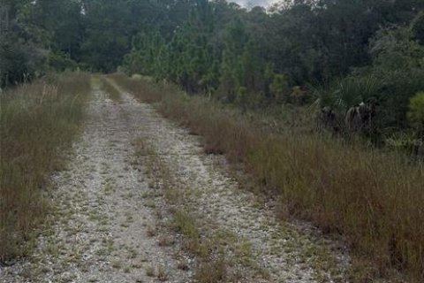 Land in Lake Placid, Florida № 2379421 - photo 4