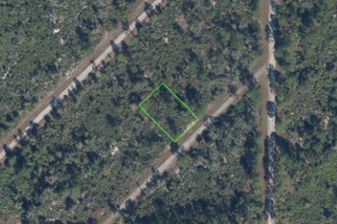 Land in Lake Placid, Florida № 2379421 - photo 2