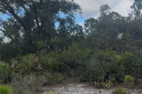 Land in Lake Placid, Florida № 2379421