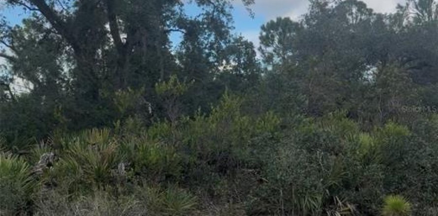 Land in Lake Placid, Florida № 2379421
