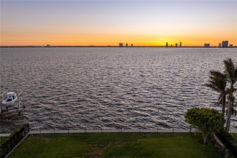 Land in Tampa, Florida № 1609624 - photo 3