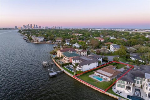 Land in Tampa, Florida № 1609624 - photo 5