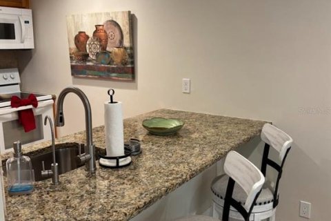 Condo in Palm Harbor, Florida, 1 bedroom  № 2202395 - photo 3