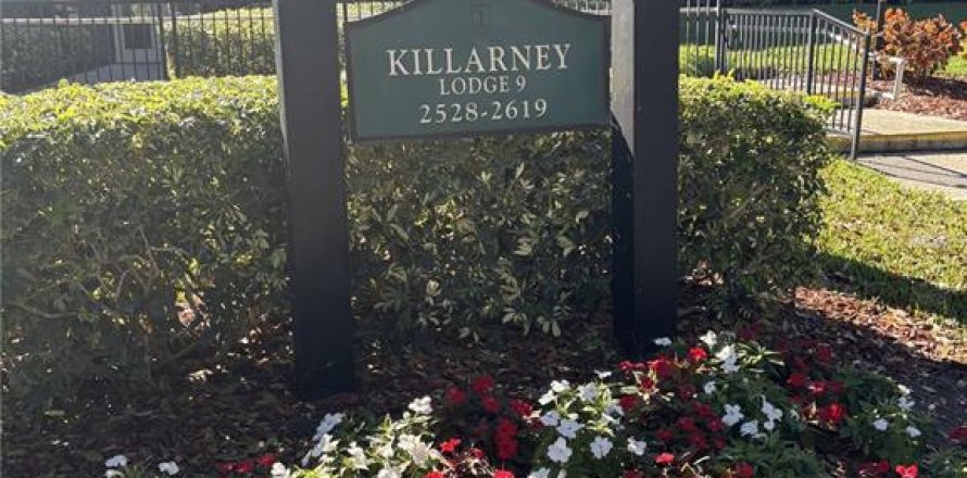 Condo in Palm Harbor, Florida, 1 bedroom  № 2202395