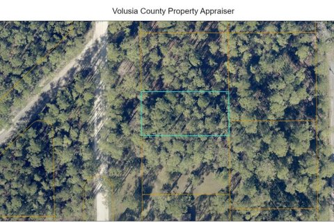 Land in DeLand, Florida № 2162403
