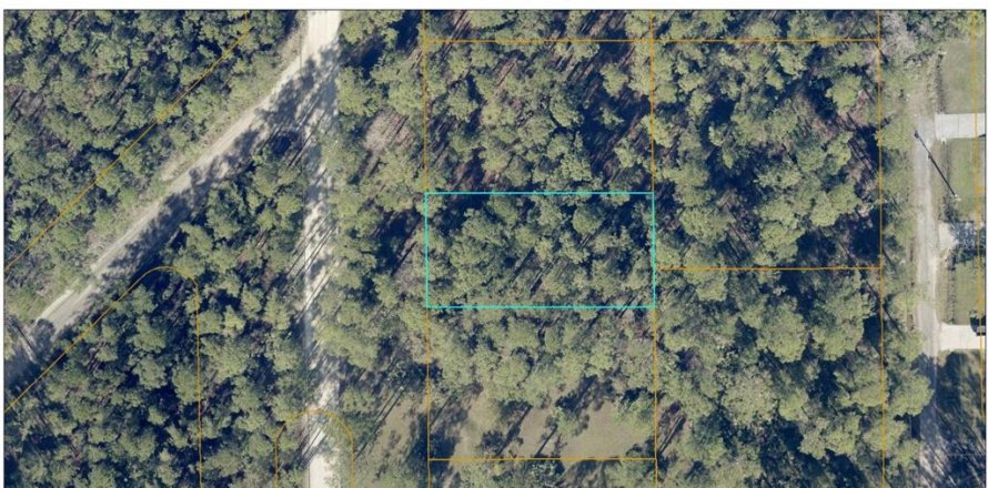 Land in DeLand, Florida № 2162403