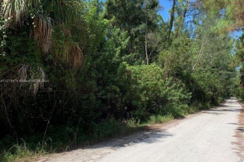 Land in West Palm Beach, Florida № 1862457 - photo 19