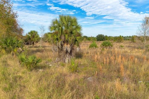 Terreno en venta en Tavares, Florida № 877731 - foto 2