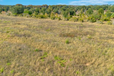 Terreno en venta en Tavares, Florida № 877731 - foto 3