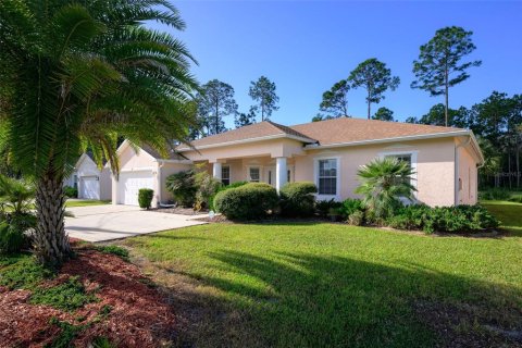 Villa ou maison à Palm Coast, Floride 4 chambres, 209.03 m2 № 2430432