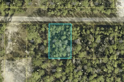 Land in Lehigh Acres, Florida № 2160985 - photo 3