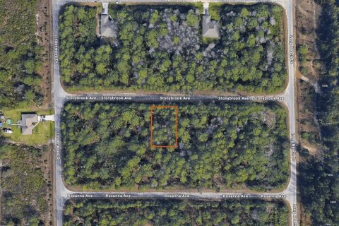Land in Lehigh Acres, Florida № 2160985 - photo 2