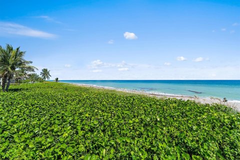 Copropriété à louer à Juno Beach, Floride: 2 chambres, 90.58 m2 № 2187421 - photo 29