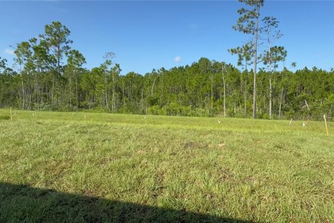 House in Daytona Beach, Florida 3 bedrooms, 138.15 sq.m. № 1906231 - photo 5
