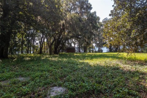 Land in Palatka, Florida № 930406 - photo 17